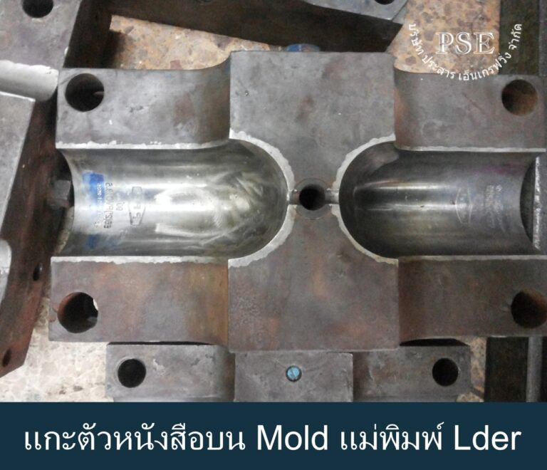 Mold002